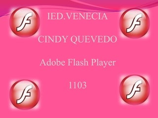 IED.VENECIA
CINDY QUEVEDO
Adobe Flash Player
1103
 