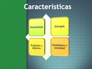 Características 