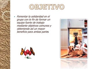OBJETIVOFomentar la solidaridad en el grupo con le fin de formar un equipo fuerte de trabajo mediante objetivos comunes y obteniendo así un mayor beneficio para ambas partes