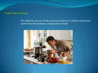The olfactory nerves of the nose are sensitive to volatile substances
emitted by the aromatic compounds in foods.
 