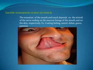 The sensation of the mouth and touch depends on the stimuli
of the nerve ending on the mucous linings of the mouth and on
the skin, respectively. Ex. Coating feeling, santol, duhat, guava,
paminta
 