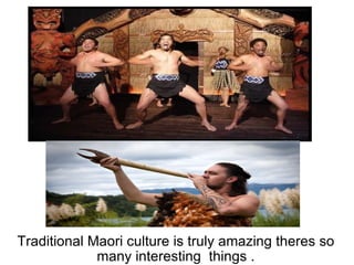 Traditional Maori culture is truly amazing theres so many interesting  things . 