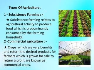 Types Of Agriculture .
1 - Subsistence Farming : -
★ Subsistence farming relates to
agricultural activity to produce
food which is predominantly
consumed by the farming
household.
2 -Commercial agriculture : -
★ Crops which are very benefits
and return the desired products for
farmers which is grown for sale to
return a profit are known as
commercial crops.
 