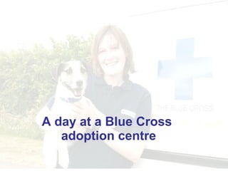 A day at a Blue Cross  adoption centre 