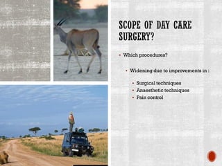 ▪ Which procedures?
▪ Widening due to improvements in :
▪ Surgical techniques
▪ Anaesthetic techniques
▪ Pain control
 