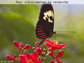 Day Clic 10 mai 2016