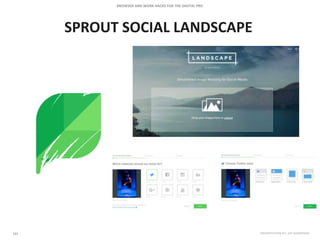 SPROUT SOCIAL LANDSCAPE
 