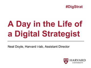 Neal Doyle, Harvard i-lab, Assistant Director
A Day in the Life of
a Digital Strategist
#DigStrat
 