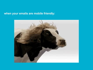 when your emails are mobile friendly:
 