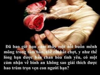 Đã bao giờ bạn cảm thấy một nỗi buồn mênh mông trong tâm hồn, thế rồi bất chợt, y như thể lòng bạn được ban chan hòa tình yêu, có một cảm nhận về bình an không sao giải thích được bao trùm trọn vẹn con người bạn? 