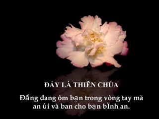 ĐẤY LÀ THIÊN CHÚA Đấng đang ôm bạn trong vòng tay mà an ủi và ban cho bạn bình an. 