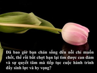 Đã bao giờ bạn chán sống đến nỗi chỉ muốn chết, thế rồi bất chợt bạn lại tìm được can đảm và sự quyết tâm mà tiếp tục cuộc hành trình đầy sinh lực và hy vọng? 
