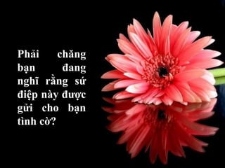 Phải chăng bạn đang nghĩ rằng sứ điệp này được gửi cho bạn tình cờ?   