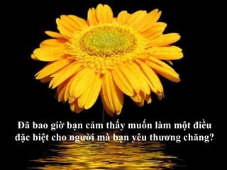 Đã bao giờ bạn cảm thấy muốn làm một điều đặc biệt cho người mà bạn yêu thương chăng?   