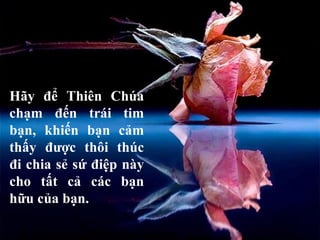 Hãy để Thiên ú chạm đến trái tim bạn, khiến bạn cảm thấy được thôi thúc đi chia sẻ sứ điệp này cho tất cả các bạn hữu của bạn. 