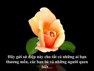 Hãy gửi sứ điệp này cho tất cả những ai bạn thương mến, các bạn bè và những người quen biết… 