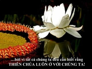 … bởi vì tất cả chúng ta đều cần biết rằng THIÊN CHÚA LUÔN Ở VỚI CHÚNG TA! 
