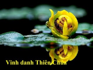 Vinh danh Thiên ú 