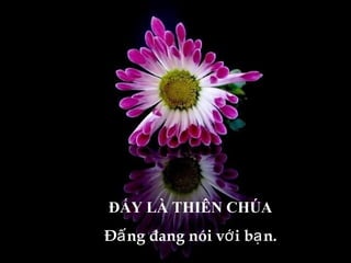 ĐẤY LÀ THIÊN CHÚA Đấng đang nói với bạn. 