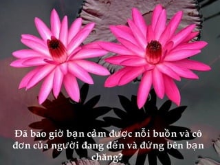 Đã bao giờ bạn cảm được nỗi buồn và cô đơn của người đang đến và đứng bên bạn chăng?  