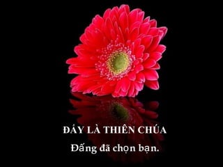 ĐẤY LÀ THIÊN CHÚA Đấng đã chọn bạn. 