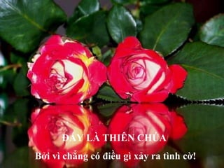 ĐẤY LÀ THIÊN CHÚA  Bởi vì chẳng có điều gì xảy ra tình cờ! 
