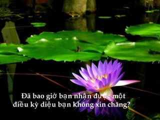 Đã bao giờ bạn nhận được một điều kỳ diệu bạn không xin chăng? 