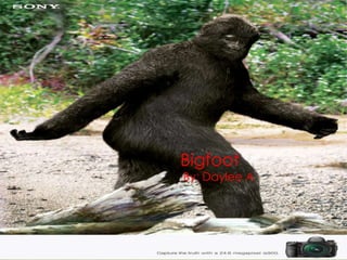 Bigfoot
By: Daylee A
 