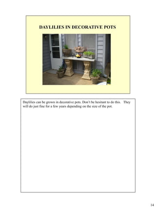 Daylilies can be grown in decorative pots. Don’t be hesitant to do this. They
will do just fine for a few years depending on the size of the pot.

14

 