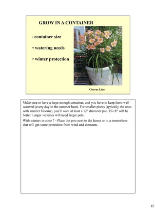 Make sure to have a large enough container, and you have to keep them wellwatered (every day in the summer heat). For smaller plants (typically the ones
with smaller blooms), you'll want at least a 12" diameter pot, 15-18" will be
better. Larger varieties will need larger pots.
With winters in zone 7 - Place the pots next to the house or in a somewhere
that will get some protection from wind and elements.

15

 