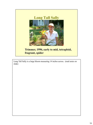 Long Tall Sally is a large bloom measuring 14 inches across. (read notes on
slide)

16

 