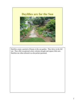 Daylilies create a portrait of beauty in the sun garden. They thrive in the full
sun. They offer exceptional colors, tolerate drought and require little care.
Daylilies are often referred to as the perfect perennial.

2

 