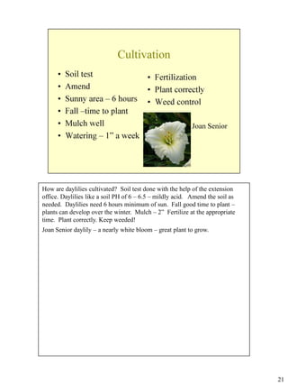 How are daylilies cultivated? Soil test done with the help of the extension
office. Daylilies like a soil PH of 6 – 6.5 – mildly acid. Amend the soil as
needed. Daylilies need 6 hours minimum of sun. Fall good time to plant –
plants can develop over the winter. Mulch – 2” Fertilize at the appropriate
time. Plant correctly. Keep weeded!
Joan Senior daylily – a nearly white bloom – great plant to grow.

21

 
