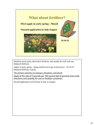 Daylilies aren't picky about their fertilizer, and usually do well with any
balanced fertilizer.
Apply in early spring – being careful not to get on the leaves. 10-10-10
balanced fertilizer is good.
The primary nutrients are nitrogen, phosphate, and potash.
Apply at the rate of 2 pounds per 100 square feet of growing area (note
directions and quantity for use on fertilizer container)
Second application can be done in July or August.

23

 