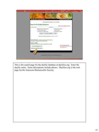 This is the search page for the daylily database at daylilies.org. Enter the
daylily name. Some descriptions include photos. Daylilies.org is the web
page for the American Hemerocallis Society.

27

 