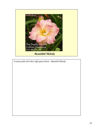 A cameo pink self with a light green throat – Beautiful Melody

29

 