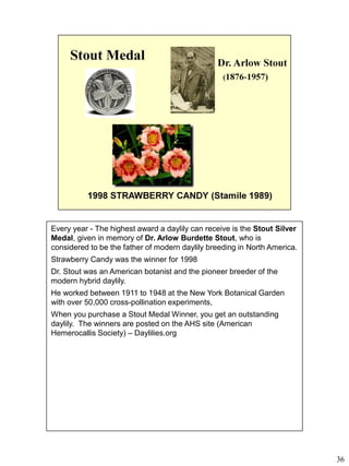 Every year - The highest award a daylily can receive is the Stout Silver
Medal, given in memory of Dr. Arlow Burdette Stout, who is
considered to be the father of modern daylily breeding in North America.
Strawberry Candy was the winner for 1998
Dr. Stout was an American botanist and the pioneer breeder of the
modern hybrid daylily.
He worked between 1911 to 1948 at the New York Botanical Garden
with over 50,000 cross-pollination experiments,
When you purchase a Stout Medal Winner, you get an outstanding
daylily. The winners are posted on the AHS site (American
Hemerocallis Society) – Daylilies.org

36

 