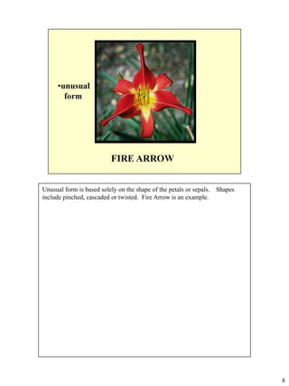 Unusual form is based solely on the shape of the petals or sepals.
include pinched, cascaded or twisted. Fire Arrow is an example.

Shapes

8

 