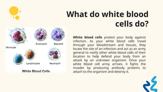 Module_2_Cell_Types_General_Biology.pptx