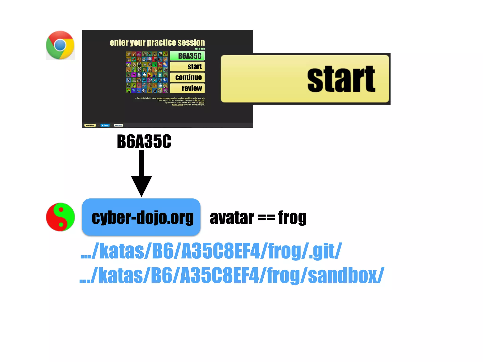 B6A35C
cyber-dojo.org
.../katas/B6/A35C8EF4/frog/sandbox/
avatar == frog
.../katas/B6/A35C8EF4/frog/.git/
 