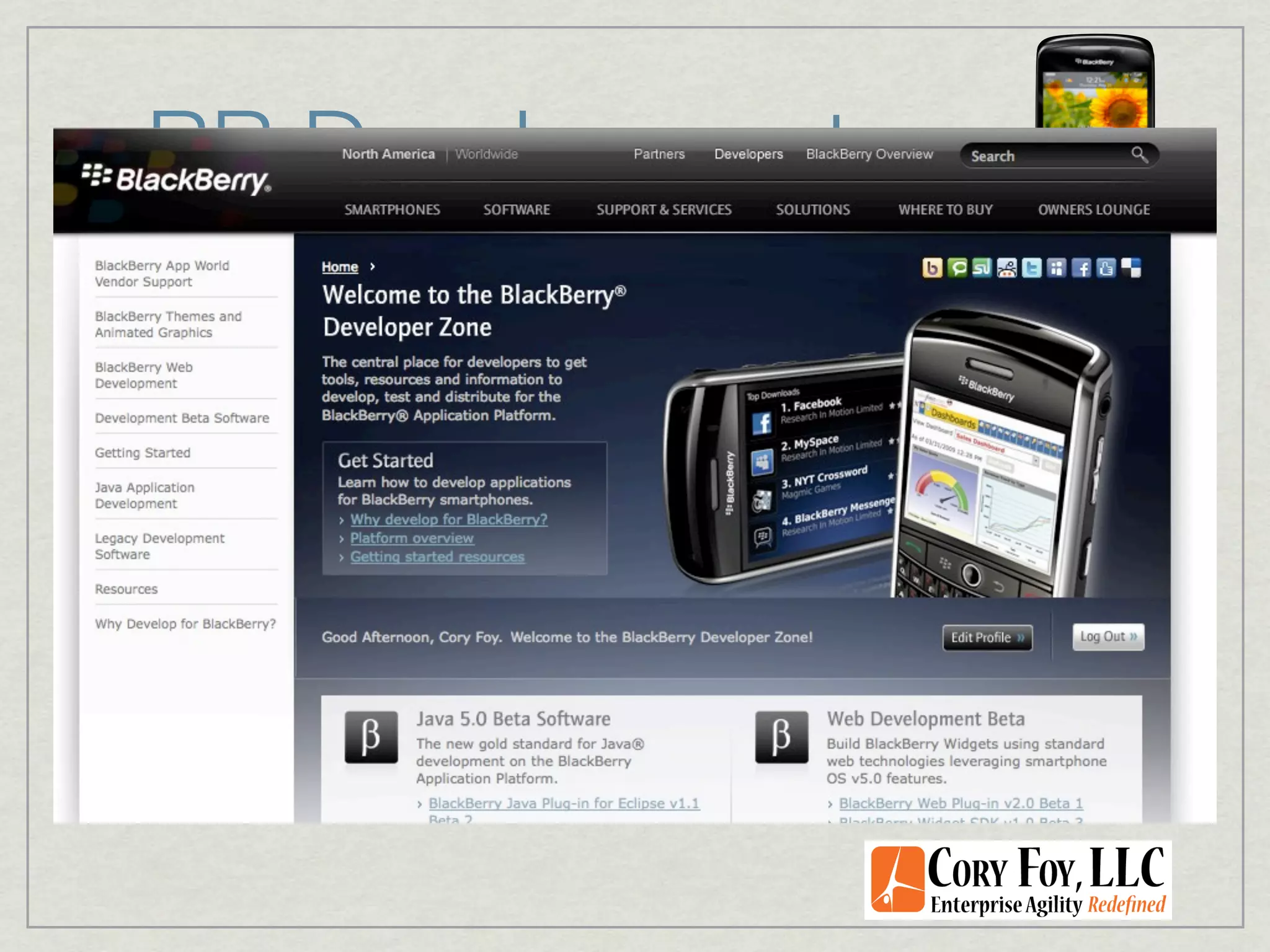BB Development

Developer Programs

 Eclipse and Visual Studio Plugins

 Rich Set of Emulators

 Strong (and free!) Developer Program
 