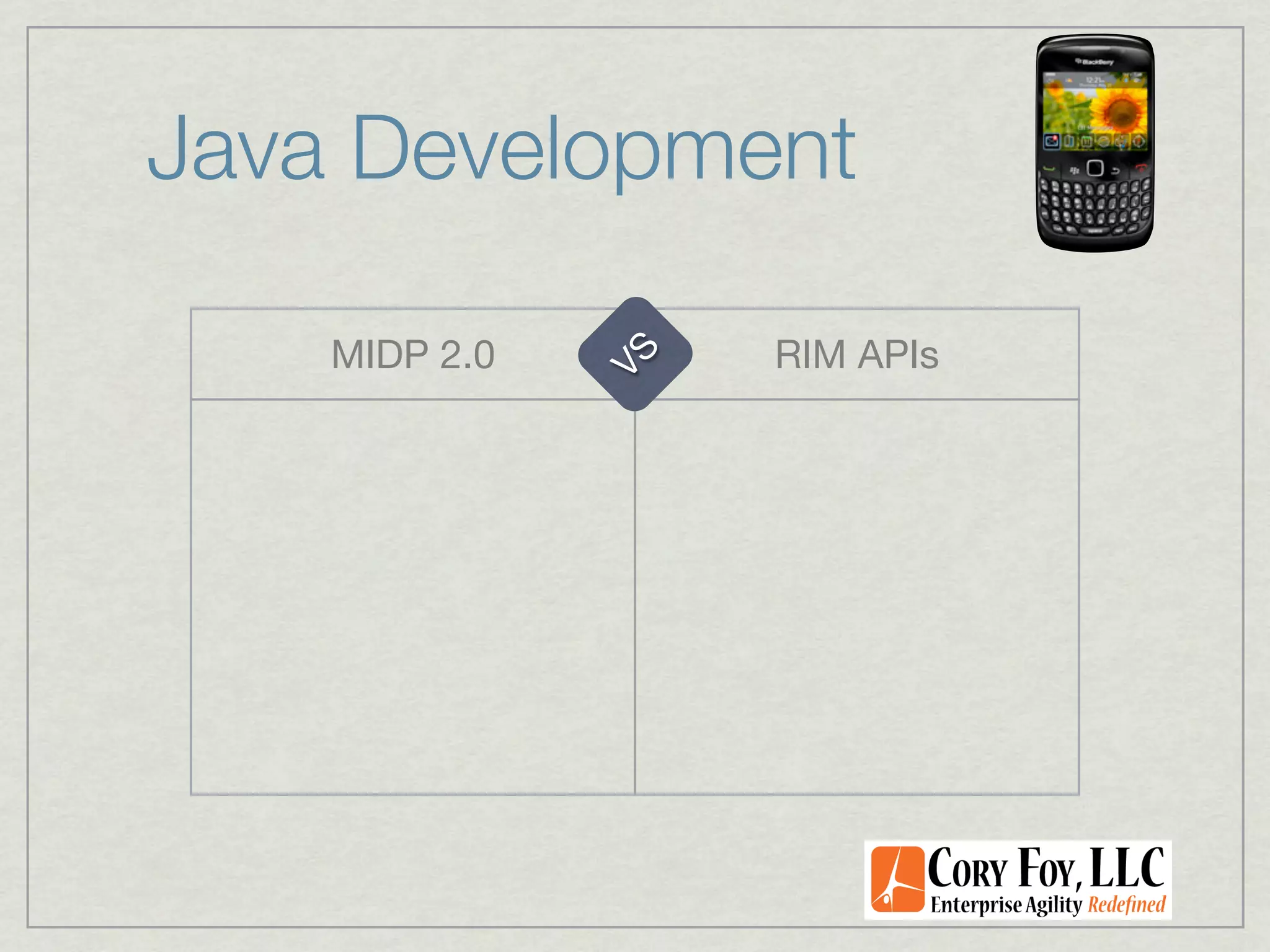 Java Development

    MIDP 2.0        RIM APIs




               VS
 