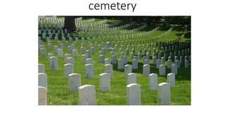 cemetery
 