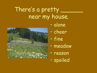 There’s a pretty ______ near my house. alone cheer fine meadow reason spoiled 