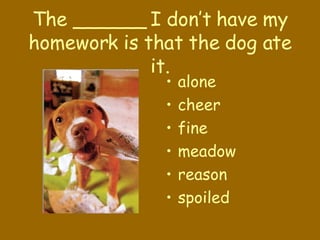 The ______ I don’t have my homework is that the dog ate it. alone cheer fine meadow reason spoiled 