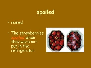 spoiled ruined The strawberries  spoiled  when they were not put in the refrigerator. 