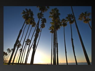 QMDC Slideshow Part 2