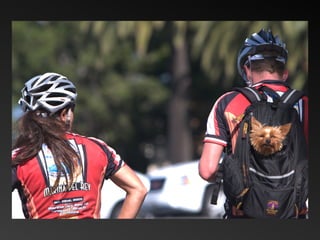 QMDC Slideshow Part 2