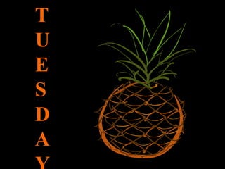 T U E S D A Y 