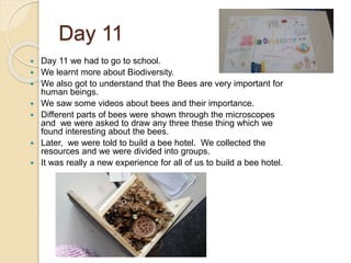 Day 11
 Day 11 we had to go to school.
 We learnt more about Biodiversity.
 We also got to understand that the Bees are very important for
human beings.
 We saw some videos about bees and their importance.
 Different parts of bees were shown through the microscopes
and we were asked to draw any three these thing which we
found interesting about the bees.
 Later, we were told to build a bee hotel. We collected the
resources and we were divided into groups.
 It was really a new experience for all of us to build a bee hotel.
 